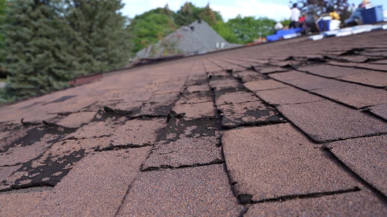 Fast & Reliable Emergency Roof Repairs in Huntington Park, CA