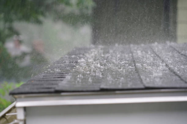 Best Roof Maintenance and Cleaning  in Huntington Park, CA